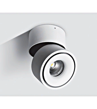 Потолочный светильник LED Onda-R/A2 LID13882