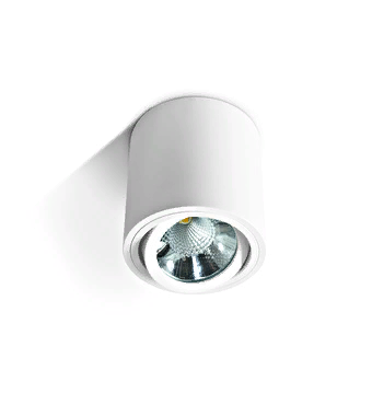 Потолочный светильник Kanda-R LID14158
