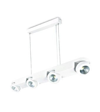 Потолочный светильник Oona LID15004