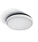 Потолочный светильник LED Theia-R LID13624