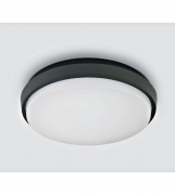 Потолочный светильник LED Theia-R LID13651