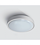Потолочный светильник LED Berry LID13905