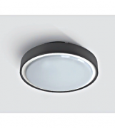 Потолочный светильник LED Berry LID13899 Потолочный светильник LED Berry LID13899