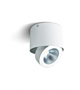 Потолочный светильник Oona-CL LID14318